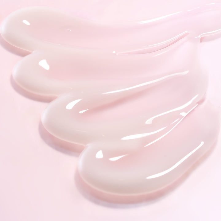 [Round Lab] Camellia Deep Collagen Firming Cream (50ml)  80ea/box